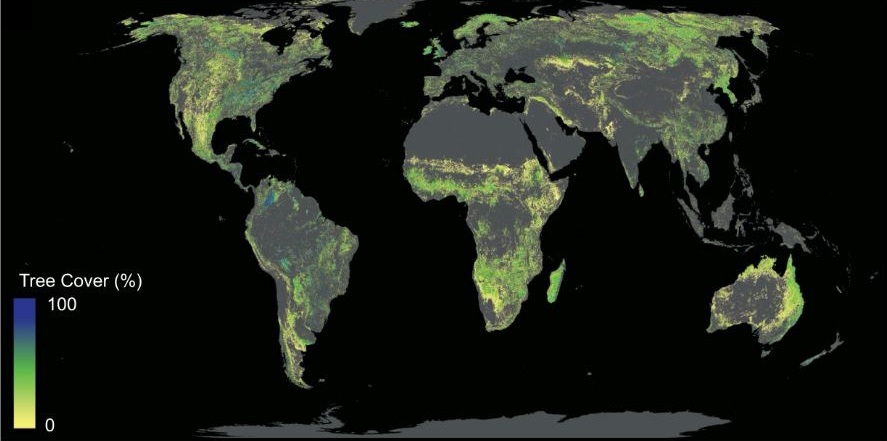 SCIENCE_The_global_tree_restoration_potential