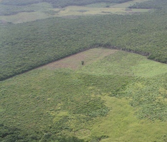 Plantación Yucatán