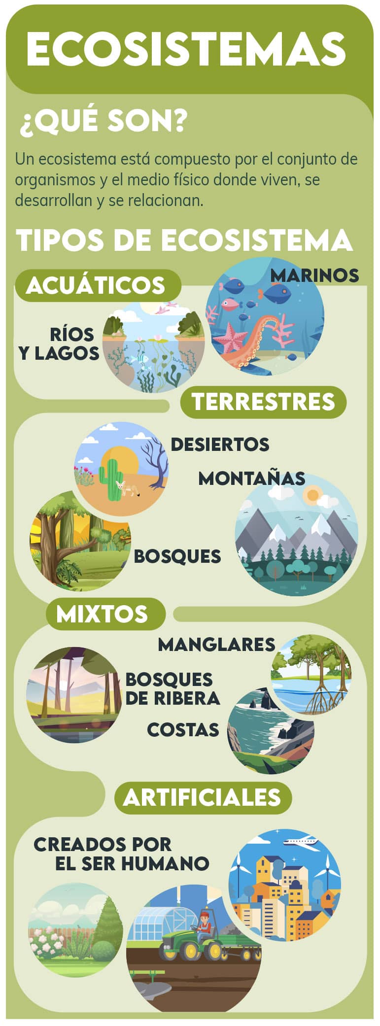 los ecosistemas infografía