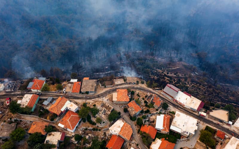 los seguros cubren desastres naturales