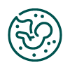icono-ecografia.png