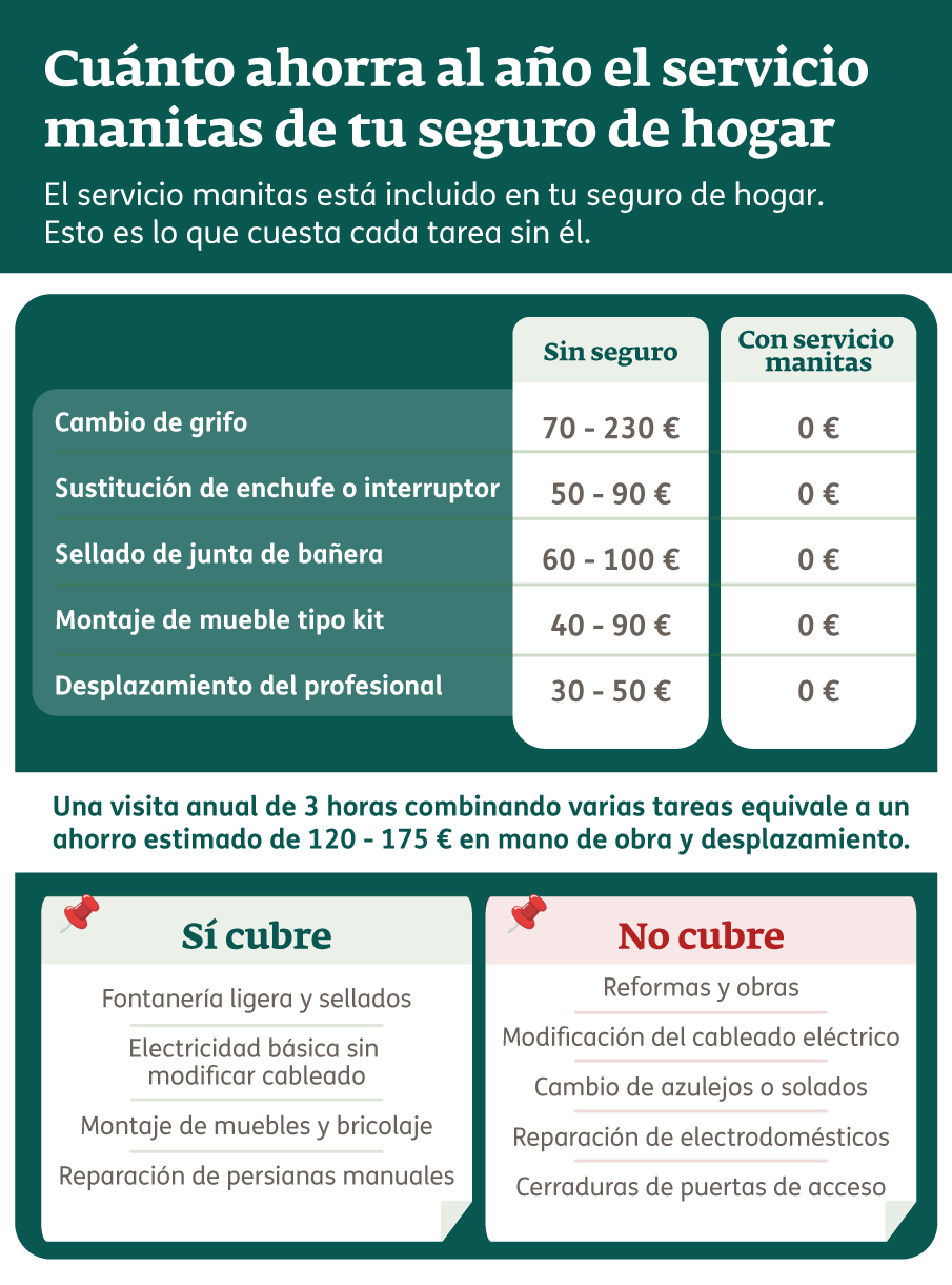 Infografía - Servicio manitas