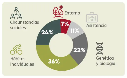 Determinantes de la salud