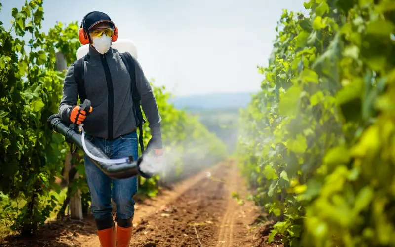 plaguicidas en alimentos