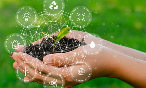 Plantación Medialia DKV