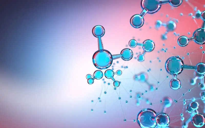 disruptores endocrinos