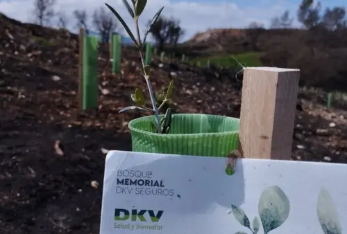 Bosque Memorial 2022 Bellprat