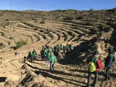 Bosque Voluntariado Sos del Rey Católico