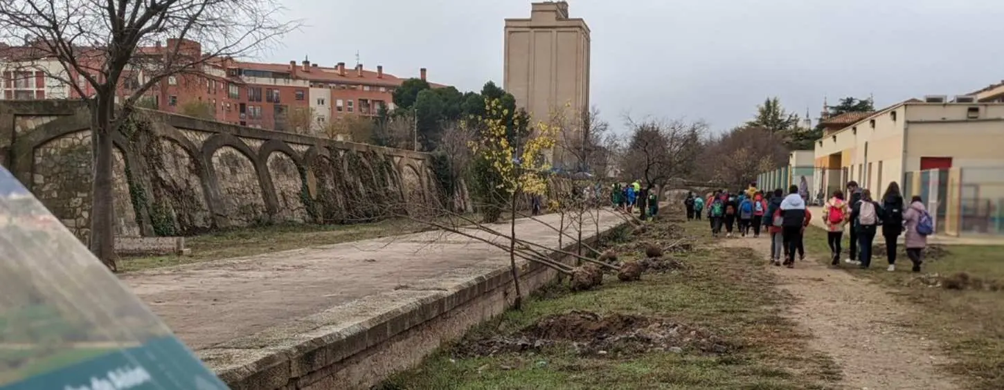 Plantación Tarazona