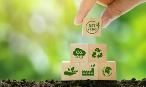 Seguros y servicios sostenibles