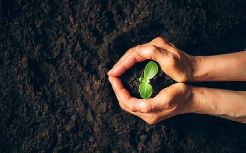 Recursos naturales: qué son, tipos y ejemplos | DKV 360
