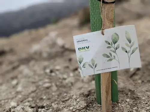 Un millón de árboles
