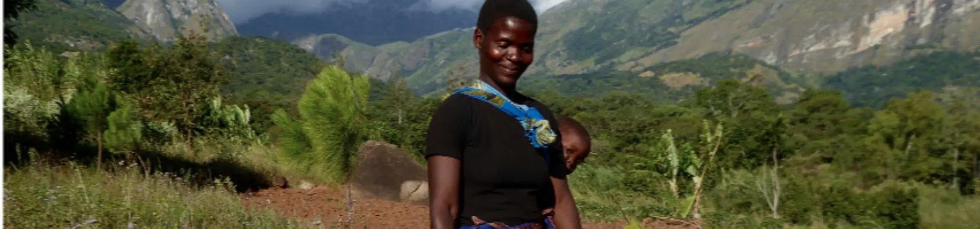 Plantación Malawi