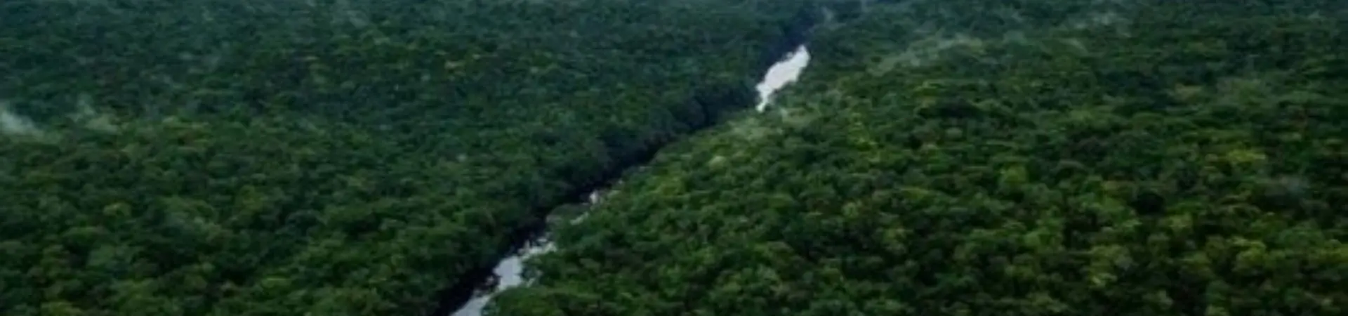 Plantación Yucatán