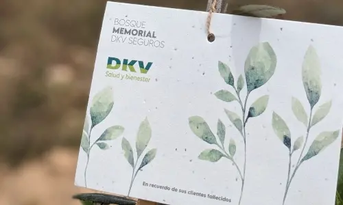 Bosque Memorial 2023