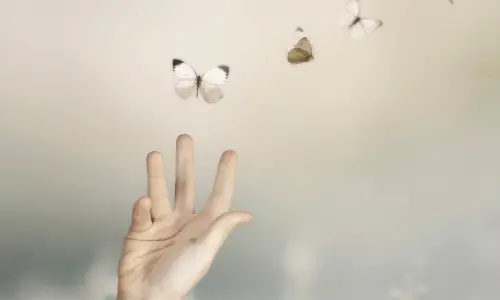 Medialia medioambiente