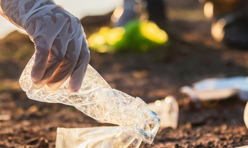Acciones Medialia 2026 - Plogging