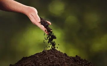 Ecofuneral