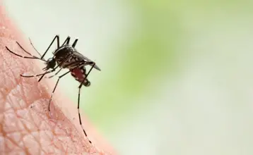 Enfermedades tropicales y cambio climático