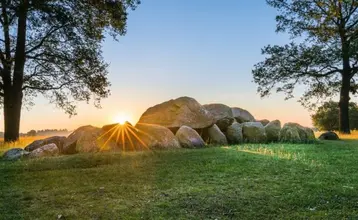 funerales ecológicos