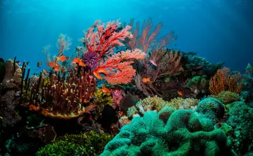 conservar los ecosistemas