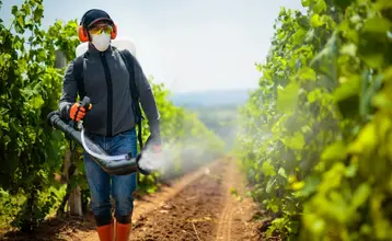 plaguicidas en alimentos