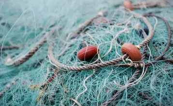 redes de pesca impacto ambiental