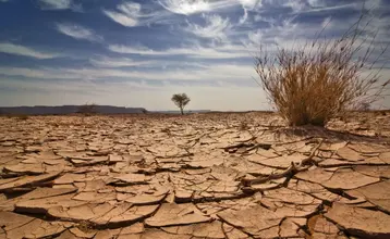 retos medioambientales