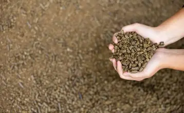 biomasa Qué es la biomasa