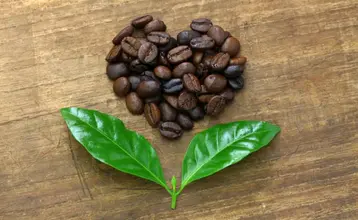 que es comercio justo