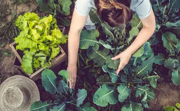 Descuentos en DKV Club Salud y Bienestar