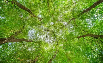 huella-de-carbono-00.jpg huella de carbono