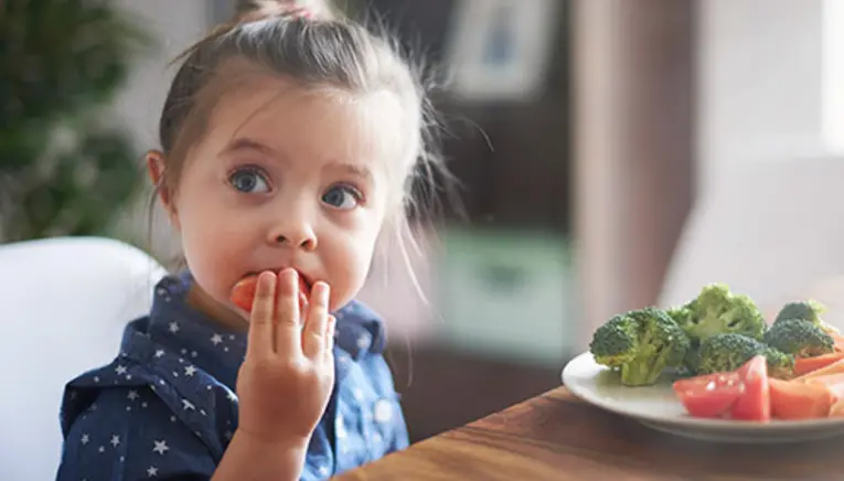 Estudio Obesidad Infantil