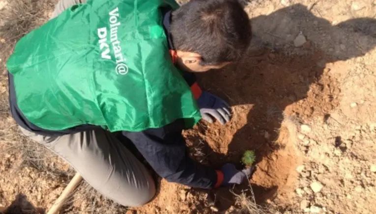 Voluntariado plantación