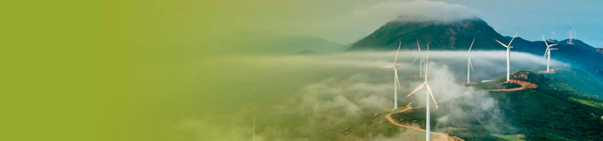 Informe anual 2020 | Medioambiente